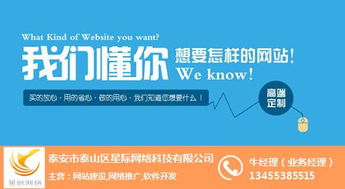 互聯(lián)網(wǎng)營(yíng)銷與銷售領(lǐng)域中的星際網(wǎng)絡(luò)及其行業(yè)解析